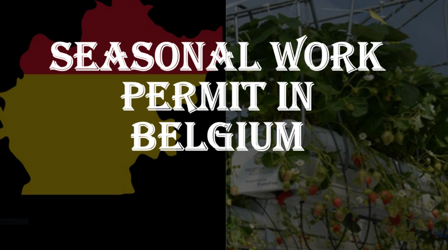 Seasonal Work Permit Process In Belgium For 2023 2024 Scholarships   BEBE 1 900x503 